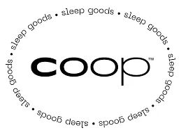 eBay Coupon