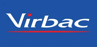 eBay Coupon