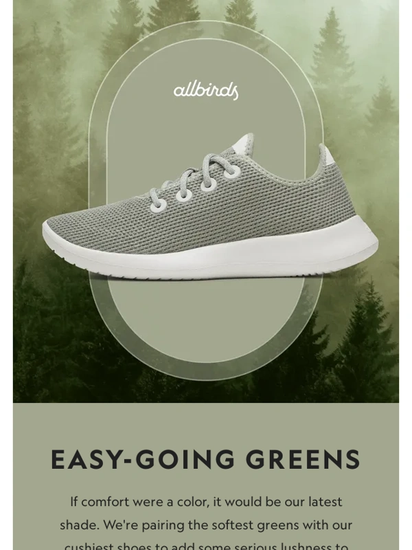 Allbirds - New Color ? Legendary Comfort