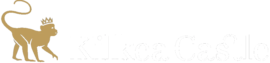 eBay Coupon