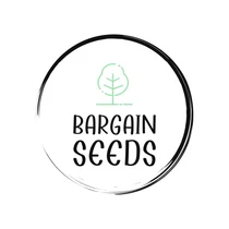 eBay Coupon