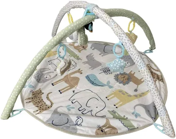 Carter's Safari Play Gym