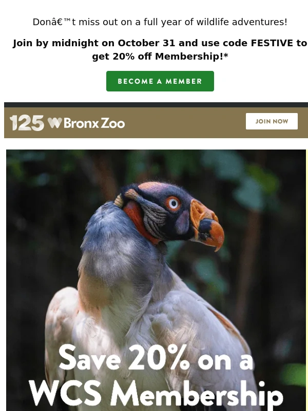 Bronx Zoo - Last chance for 20% off Membership