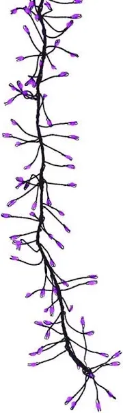Celebrations Purple 250 Ct LED Prelit Connectable Big Seed Cluster Halloween Lights
