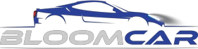 eBay Coupon