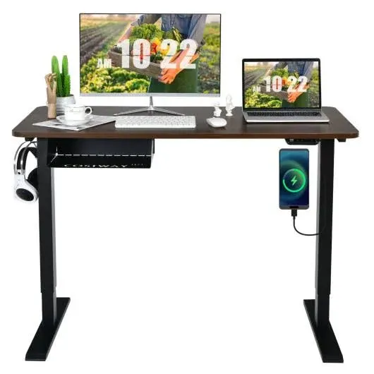 Costway 48'' Electric Standing Desk Height Adjustable w/ Control Panel & USB Port