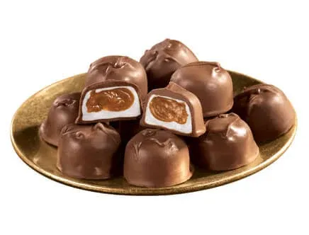 Fox Valley Traders Sugar Free Milk Chocolate Caramel Marshmallows