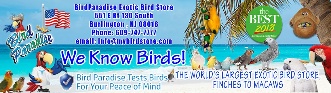 eBay Coupon