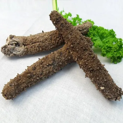 GMP Vitas 5A Wild Alaska Sea Cucumber