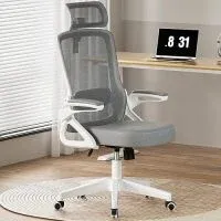 Zelimon Mesh Back Adjustble Lumbar Support Office Chair