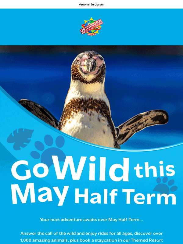 Chessington World of Adventures Resort - Your May Half-Term adventure sorted!??