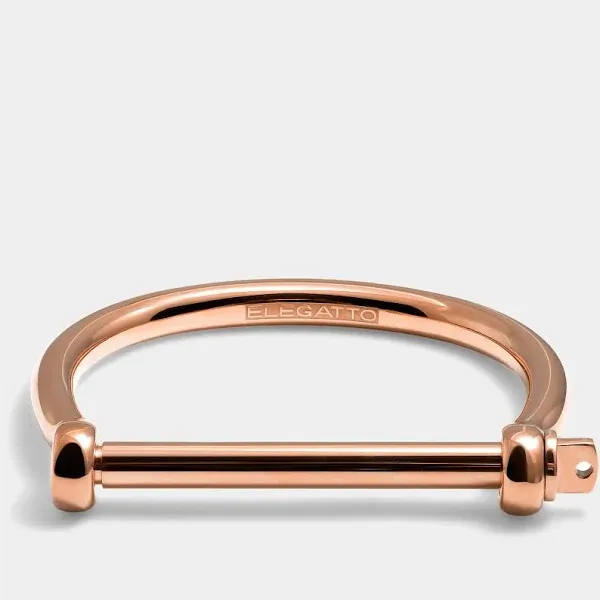 Bangle Rose Gold Bracelet