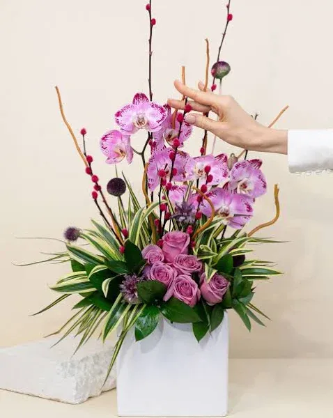 French Florist Dramatic Orchid Plants