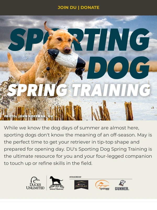 Keepa - DU Newsletter: Sporting Dog Spring Training Edition