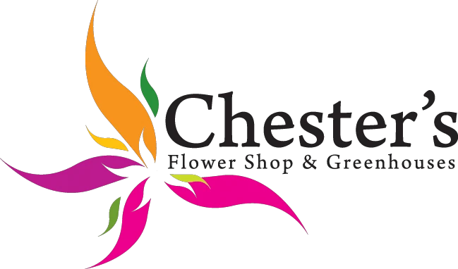 Chesters Flowers