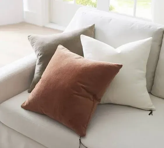 Pottery Barn Everywhere Velvet Pillow Cover