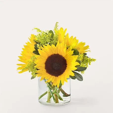 Proflowers Beaming Sunflower Bouquet