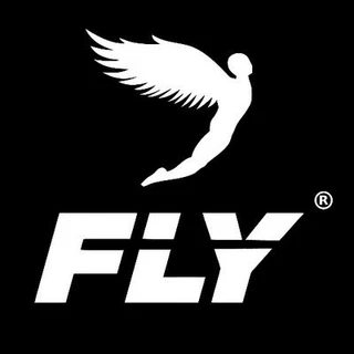 Fly Boxing