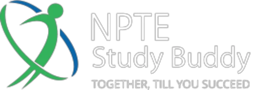 Npte Study Buddy