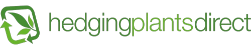 Hedging Plants Direct