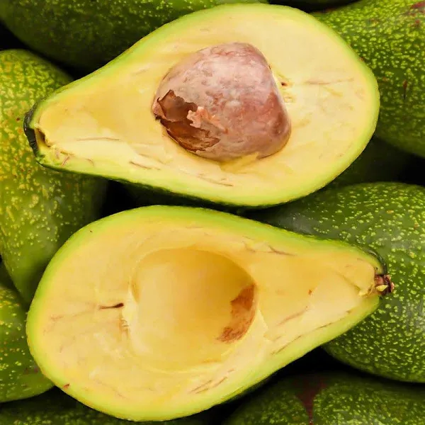 Avocado Large Box (10-12lbs)