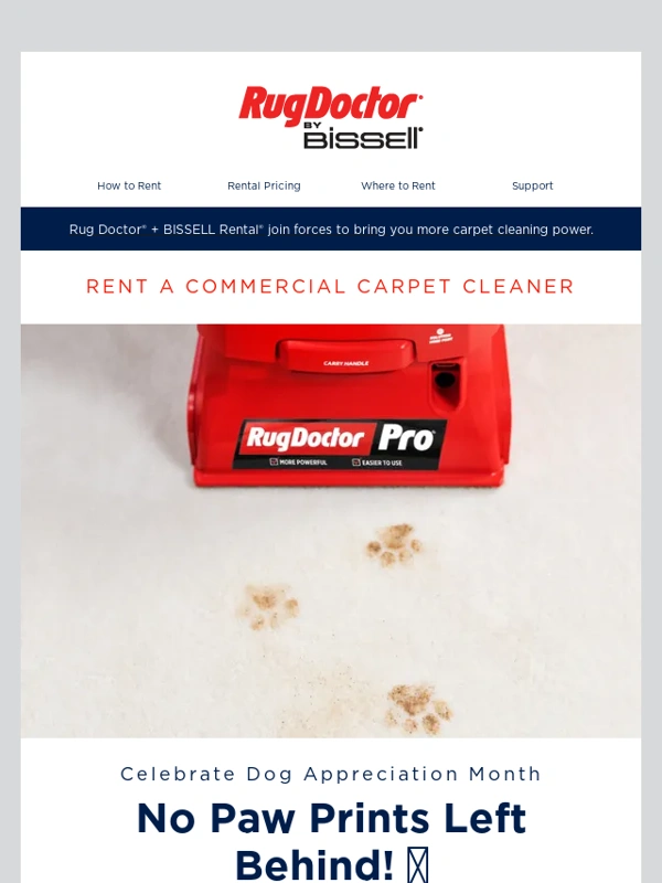 Rug Doctor - ?✨ $5 Off Coupon! Give Your Pup a Clean Home