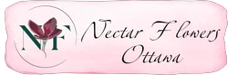 Nectar Flowers Ottawa