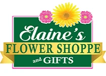 eBay Coupon