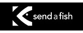 eBay Coupon