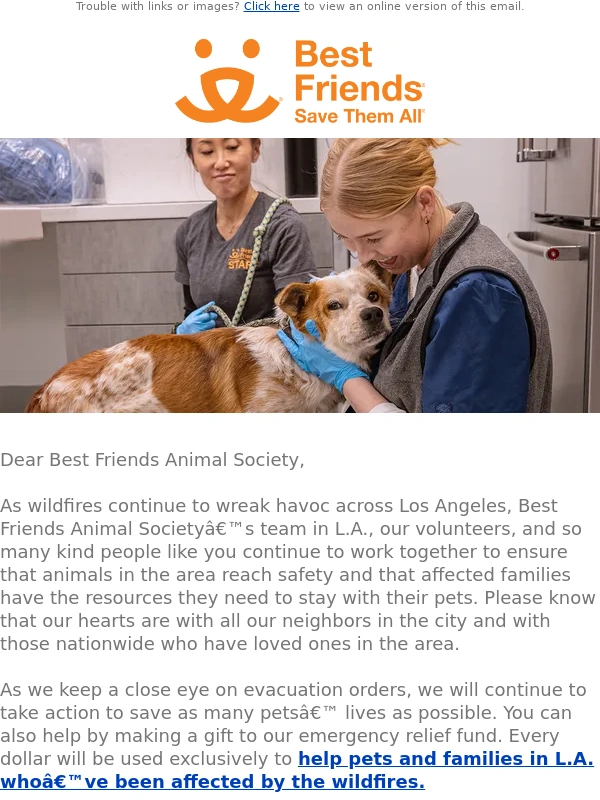 Best Friends - Update: Best Friends emergency response to the L.A. wildfires