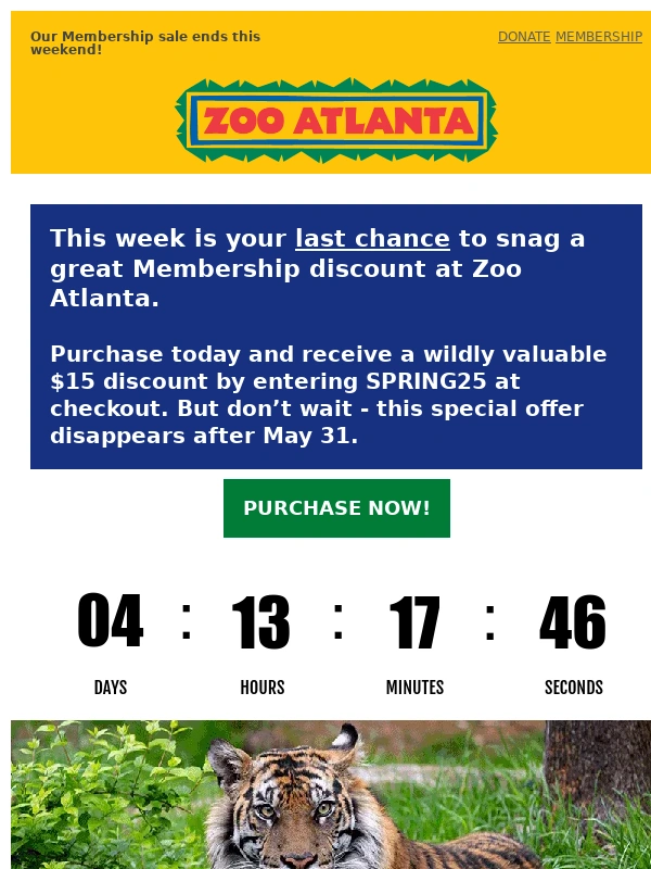 Zoo Atlanta - Final days to save on a Zoo Membership
