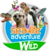 Sealife Adventure