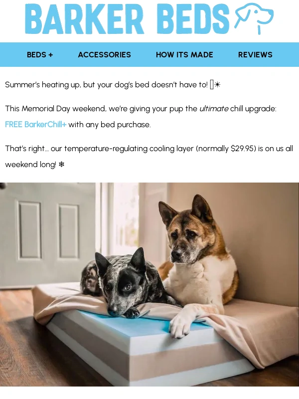 Big Barker - Our treat to beat the summer heat! ?