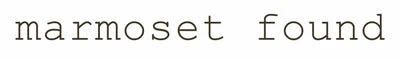 eBay Coupon