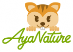 eBay Coupon