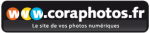 eBay Coupon