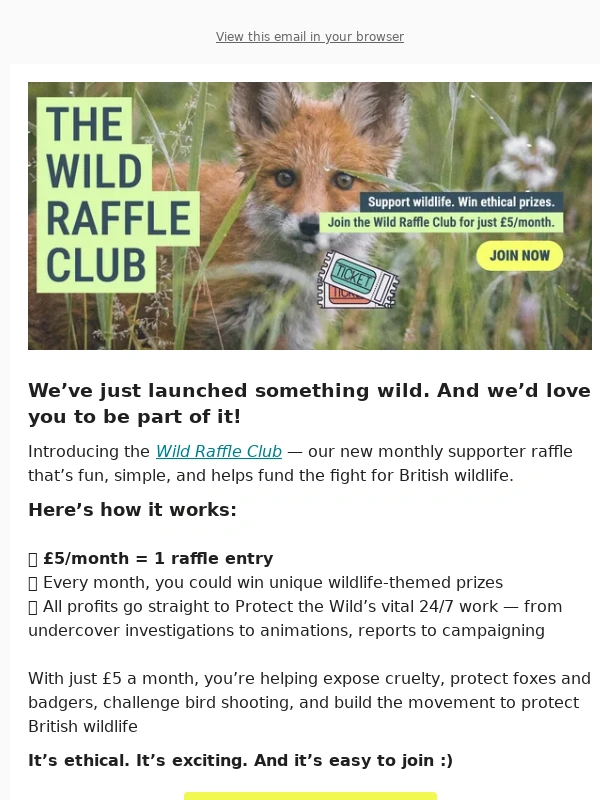 Patreon - Protect wildlife. Win prizes. Join the club!