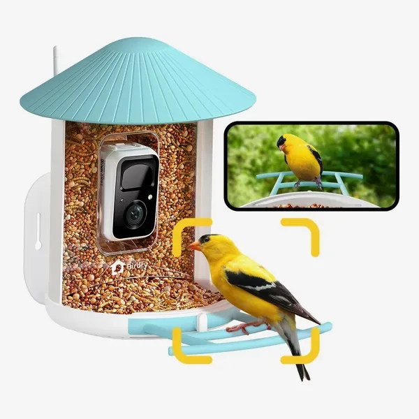 NETVUE by Birdfy Smart Bird Feeder with Camera, Bird Watching Camera, Auto Capture Video & Motion Detection, 1080P Live Steam, Cardinal Feeder Outdoor Wireless, Ideal Present for Backyard Birder, Blue