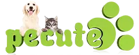 Pecute