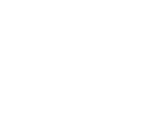Carolina Ground