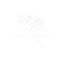 BWAquatics