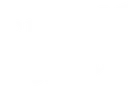 Sugar Sugar Wax