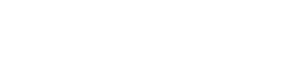 Performanceplustire