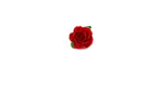 Cps Flowers