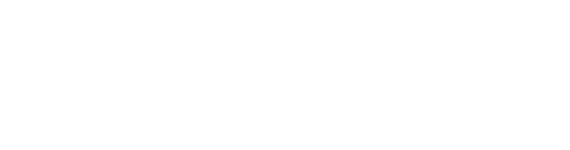 Iconicwp
