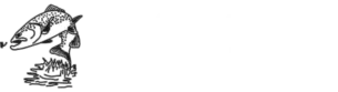 Dette Flies