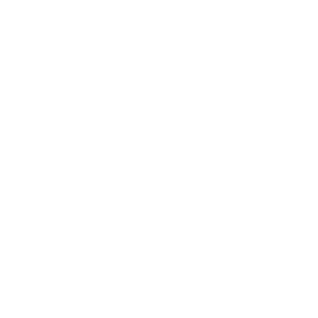 Otto Pint