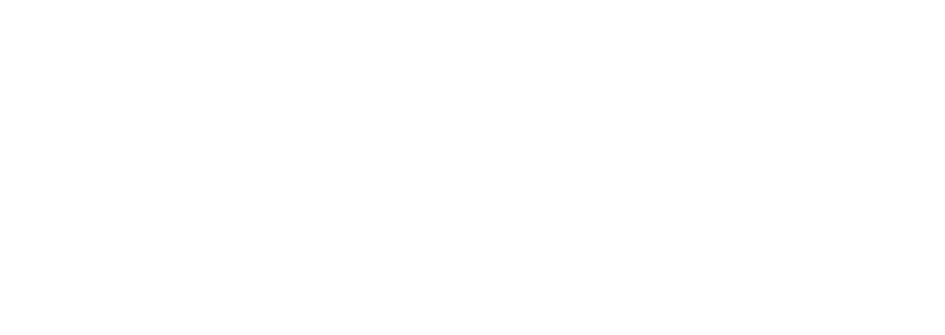 Image1993