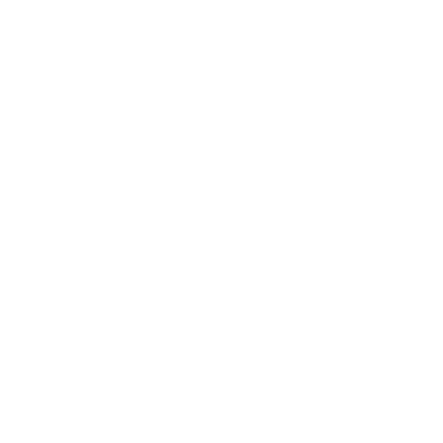 The Cat Empire