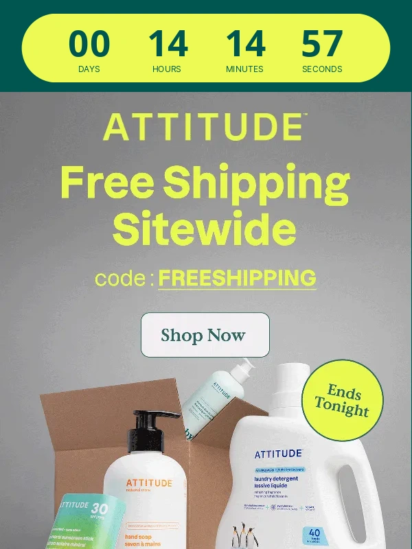 ATTITUDE - ?LAST CHANCE FOR FREE SHIPPING ?